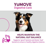 Lintbells YuMOVE PLUS dog digestive health supplement (British brand)