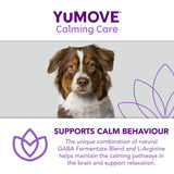 Lintbells dog stress and anxiety calming supplement (British brand)