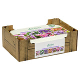 Bulbs Pink  Purple Collection x100