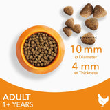 Iams dry cat food with fresh chicken 800g, UK version