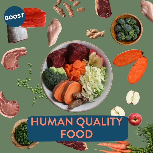 Boost Pet Fish Supper dog food 400g - British product