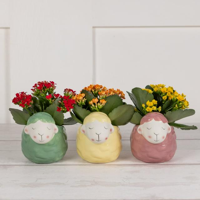 Large Easter Chick Ceramic Decoration