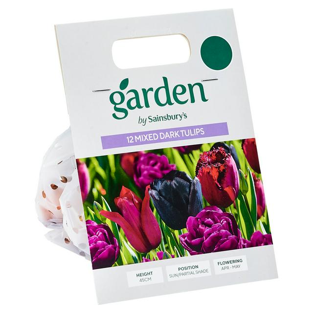Mixed Dark Tulip Bulbs, Pack of 15 for Mass Planting