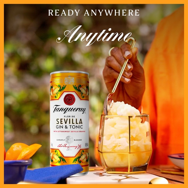 Tanqueray Flor de Sevilla gin and tonic ready-to-drink can 250ml (British brand)