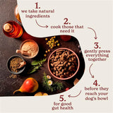 Forthglade dog food turkey with sweet potato 2kg - British product