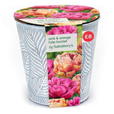 Sainsburys Pink  Orange Tulip Bucket