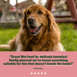 Harringtons wet dog food salmon & potato 400g, UK version