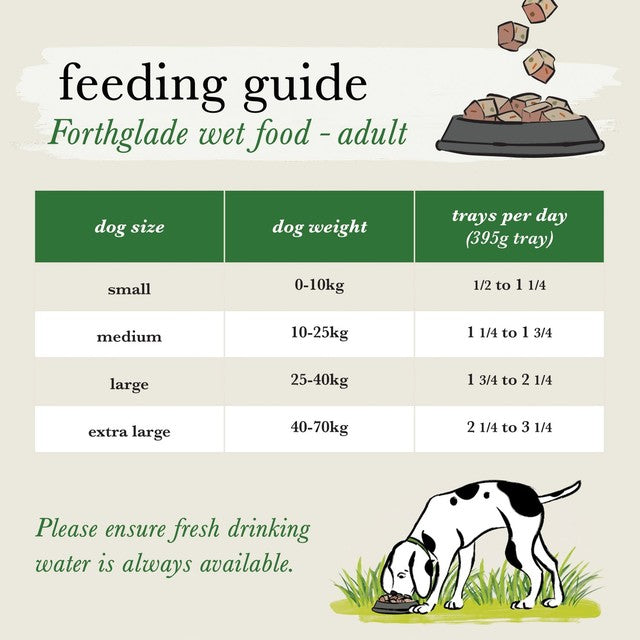 Forthglade wet dog food beef with sweet potato 395g - British product