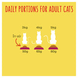 Go-Cat dry cat food chicken and turkey 320g, UK version