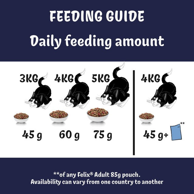Felix dry cat food salmon and vegetables 750g - British product