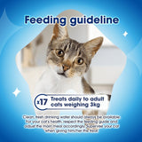 Dentalife salmon cat treats 40g - British product