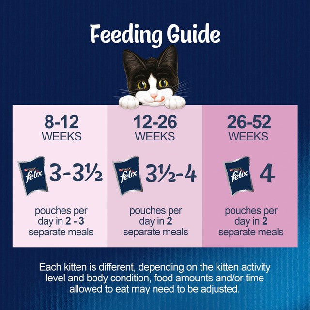 Felix kitten fish jelly cat food 12x85g - British product