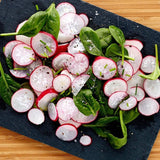 Ocado Radish vegetable in 300g film pack, imported from the UK