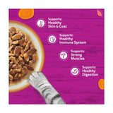 Whiskas 1+ Tasty Mix Country Collection Adult Wet Cat Food Pouch in Gravy