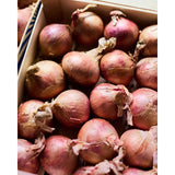 Natoora Pink Onions from Brittany 450g, imported from the UK