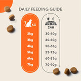 Iams dry cat food chicken 3kg, UK version