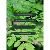 Aduna Moringa Organic Superfood Powder 275g - British product