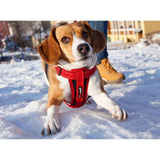 EzyDog Chest Plate red dog harness large - British product