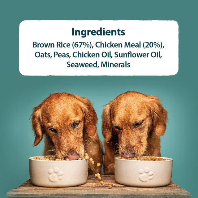 Burns Original Adult/Senior Chicken & Brown Rice Dry Dog Food
