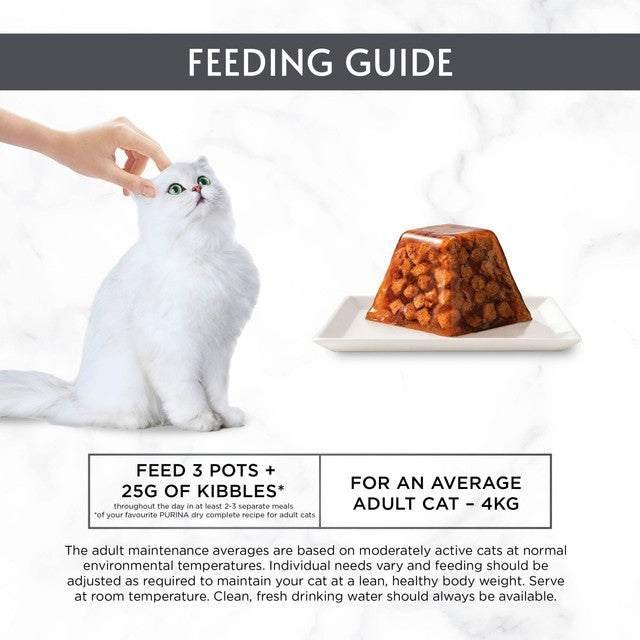 Gourmet wet cat food chicken in jelly 4 x 57g, UK version