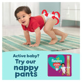 Pampers Premium Protection nappies size 6 13kg+, imported from the UK