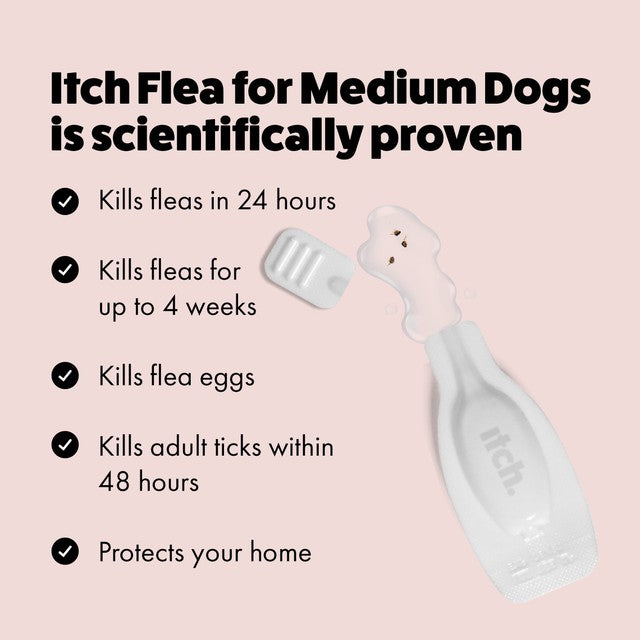 Itch flea and tick spot-on treatment for medium dogs (10-20kg), UK version