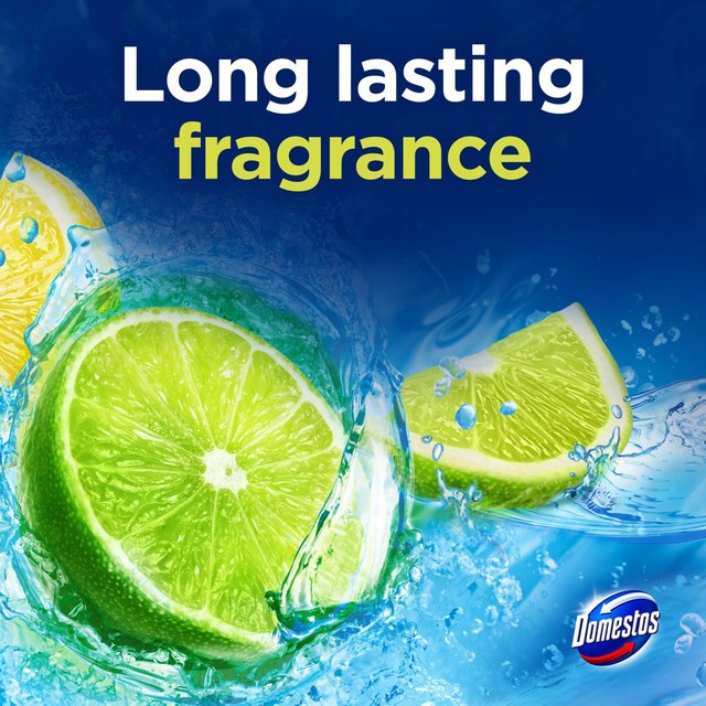 Domestos lime toilet rim block duo pack - British product