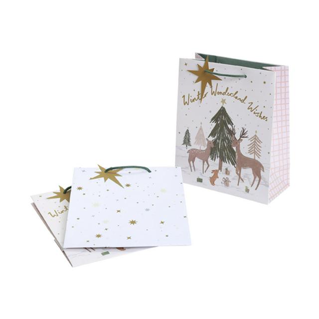 Sainsburys Home Deer Star Multipack Medium Bag 3pk