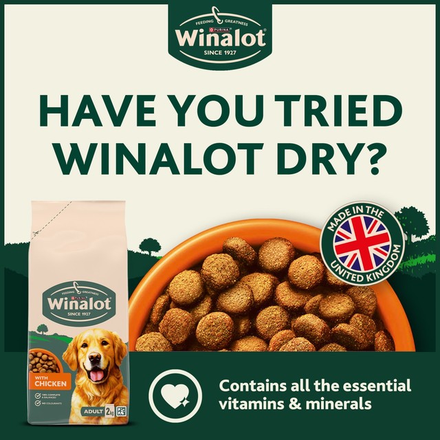 Winalot senior wet dog food 12x100g pouches (British brand)