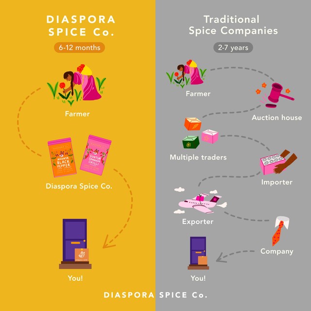 Diaspora Co. Everything Grill Spice Blend 65g - British product