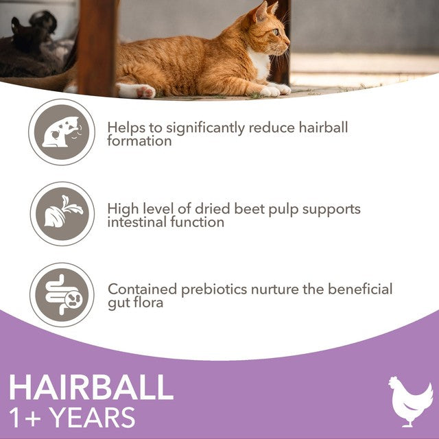 IAMS hairball control cat food with fresh chicken 800g, UK version