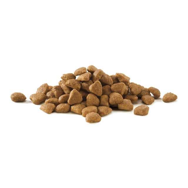 Purina One urinary health chicken dry cat food 750g, imported from the UK