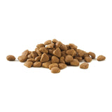 Purina One urinary health chicken dry cat food 750g, imported from the UK