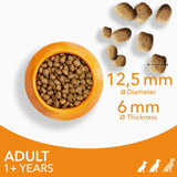 Iams adult dog food small/medium breed with chicken 2kg, UK version