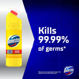 Domestos thick bleach citrus fresh 750ml - British product