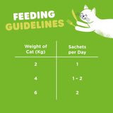 Webbox liver with cat grass cat treat 5 x 15g (British brand)
