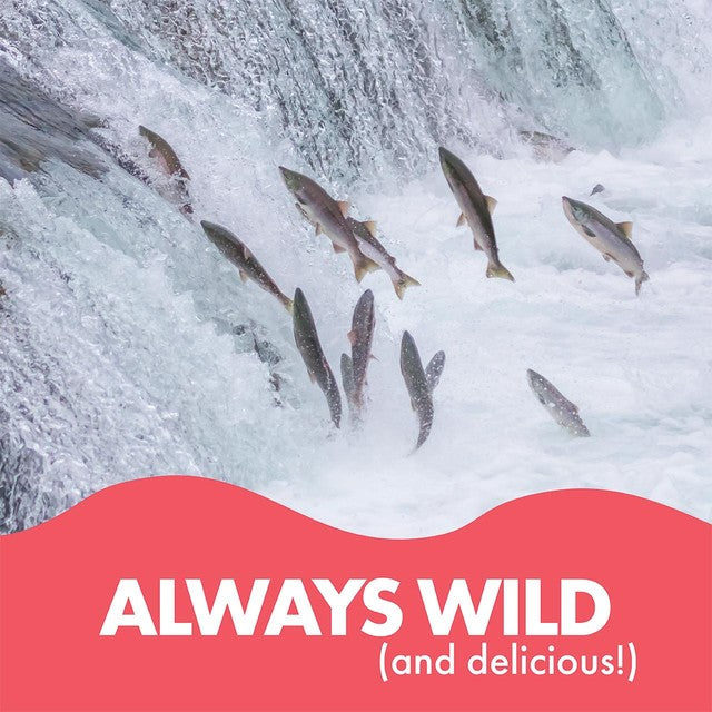 Fish4Ever Wild Pacific Red Salmon fillets 170g - British product