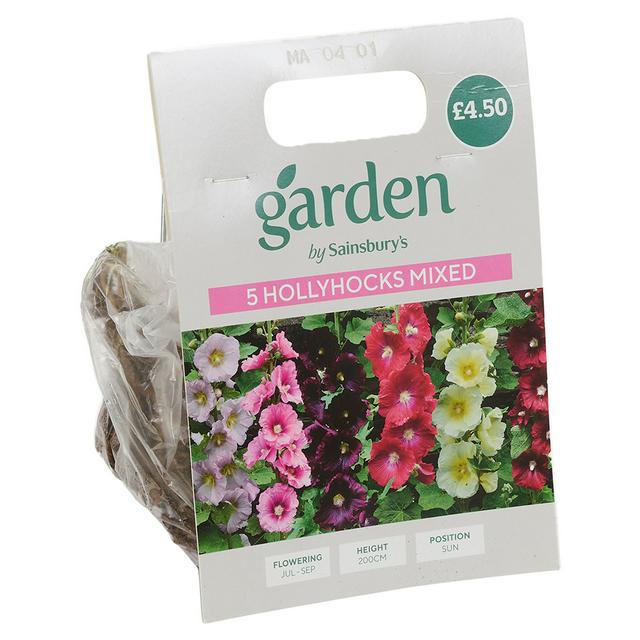 Hollyhocks Mixed Color Seeds x5