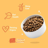 Edgard & Cooper grain-free adult chicken dry dog food 1kg - British product