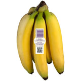Ocado Rainforest Alliance Bananas fresh produce bundle, imported from the UK