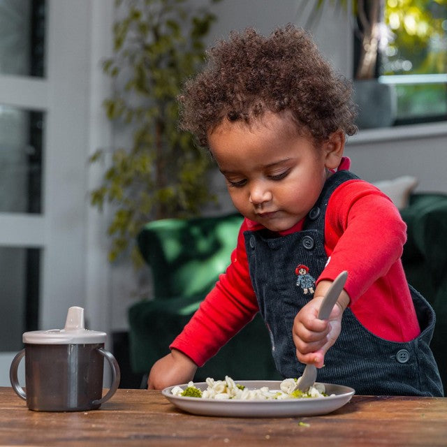 Vital Baby biodegradable toddler plates natural 5pk (British brand)