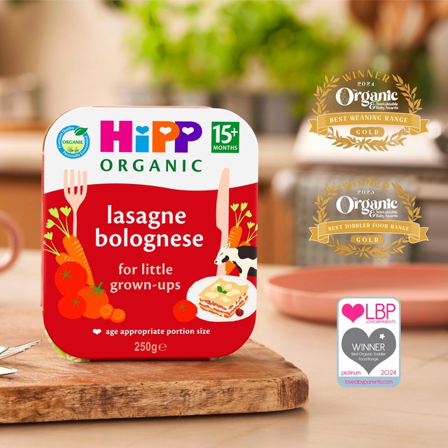 HiPP Organic Lasagne Bolognese toddler tray meal 250g, UK version
