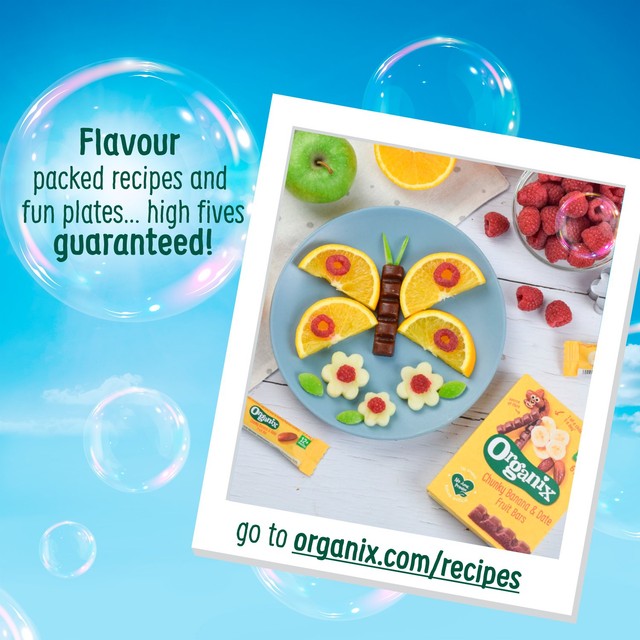 Organix Apple Fruit Bars 6 x 17g, imported from the UK