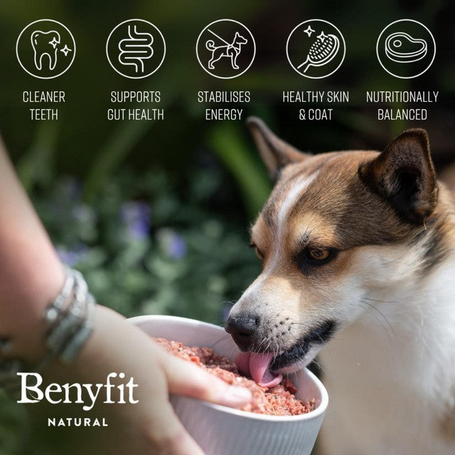 Benyfit Natural chicken raw dog food 1kg - British product