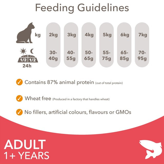 IAMS Salmon Cat Food 800g, UK version