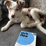 Itch Flea Spot-On Treatment for Small Dogs 2-10kg, UK version