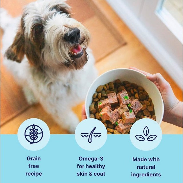 Tails.com dog wet food chicken and cod 150g (British brand)