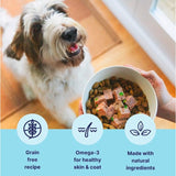 Tails.com dog wet food chicken and cod 150g (British brand)