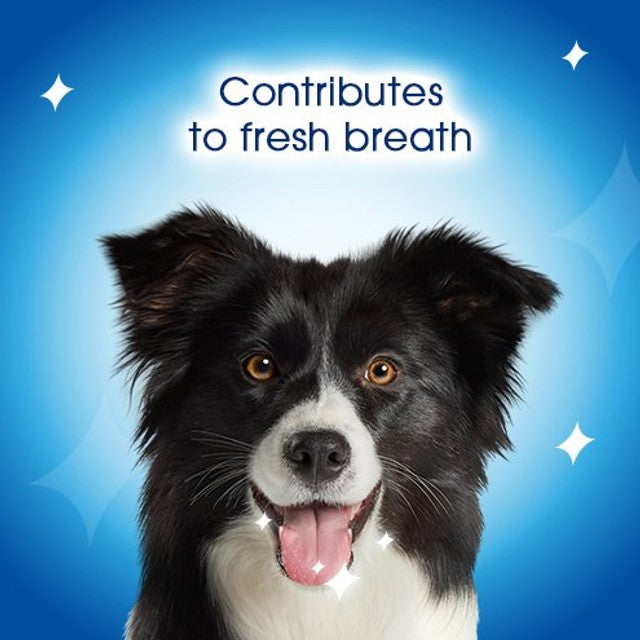 Dentalife chicken dental dog treats 30 chews - British product