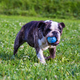 Zeus Duo Ball 6.3cm With Squeaker & Glo